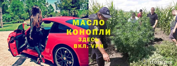 дживик Володарск