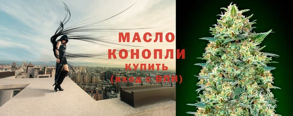 дживик Володарск