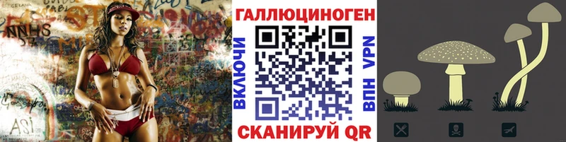 OMG рабочий сайт  Волхов  Галлюциногенные грибы MAGIC MUSHROOMS  что такое  