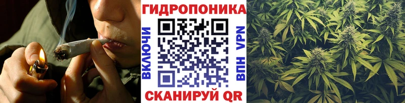 ОМГ ОМГ как зайти Волхов Каннабис THC 21%
